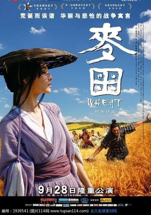 安徽高中毕业证号